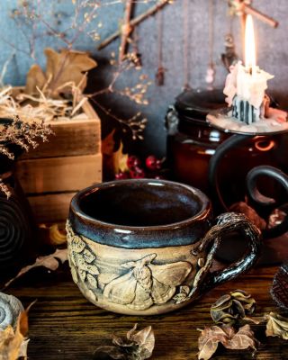 Magie noční oblohy, krása přírody, tajemství vesmíru ⭐️